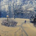 thumbnails/003-DSC01846.JPG.small.jpeg